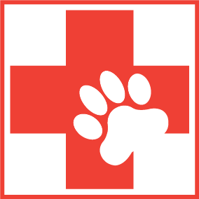  Pronto Soccorso Veterinario Roma- Area sosta camper - Park Colombo 